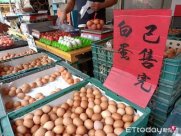 下午察：台湾“蛋蛋的忧伤”